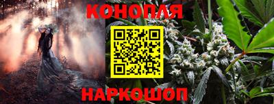 прущий лед Будённовск