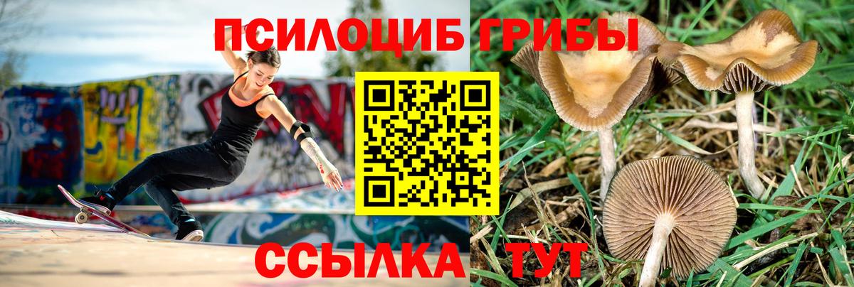 Псилоцибиновые грибы Cubensis  Вход с VPN  Псилоцибиновые грибы мухоморы  Кушва 